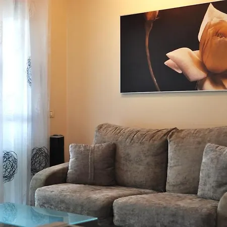 Tomasz's House
